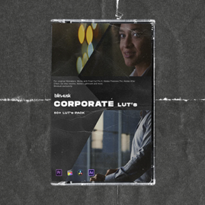 Blindusk - Corporate LUTs