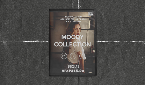 LUIZCLAS - Moody Collection