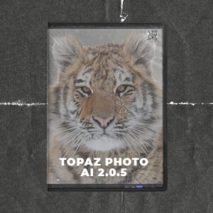 Topaz Photo AI 2.0.5 (Win + Mac)