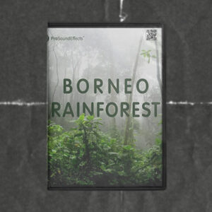 Pro Sound Effects - Borneo Rainforest
