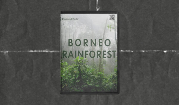 Pro Sound Effects - Borneo Rainforest