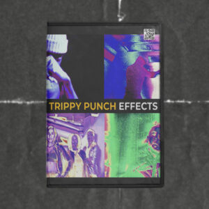 Trippy Punch Effect for Premiere Pro