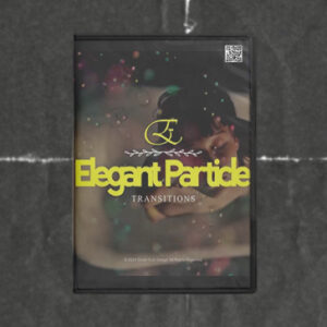 Elegant Particle Transitions