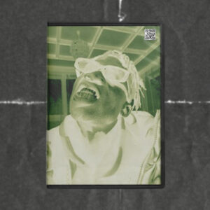 HE – Thermograph LUTs