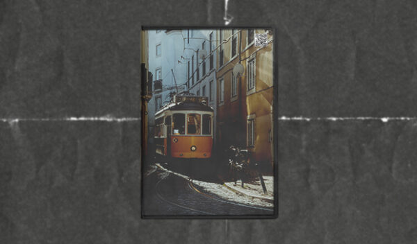 Snapsbyfox - Lightroom Presets