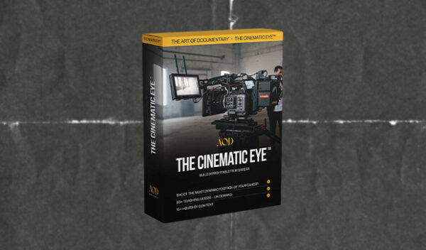AOD – The Cinematic Eye Course