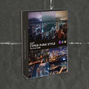 ColorWheel Store Lut Cyper Punk Style