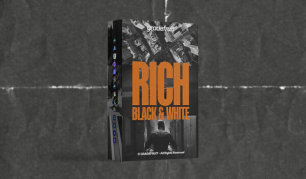 Rich Black and White LUTs & LR Presets