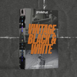 Vintage Black and White LUTs & LR Presets