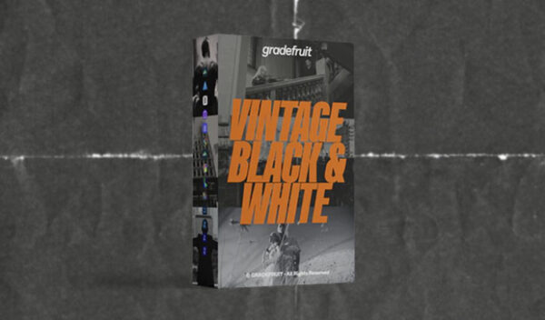 Vintage Black and White LUTs & LR Presets