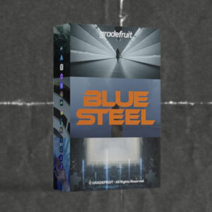 Blue Steel LUTs & LR Presets