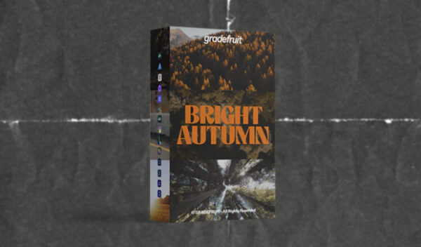 Bright Autumn LUTs & LR Presets