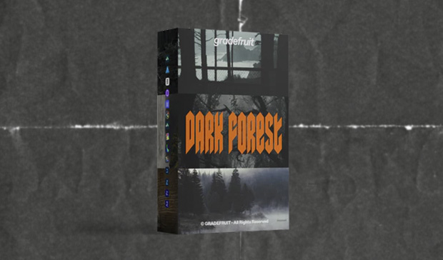 Dark Forest LUTs & LR Presets