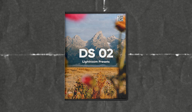 DS 02 Lightroom Presets